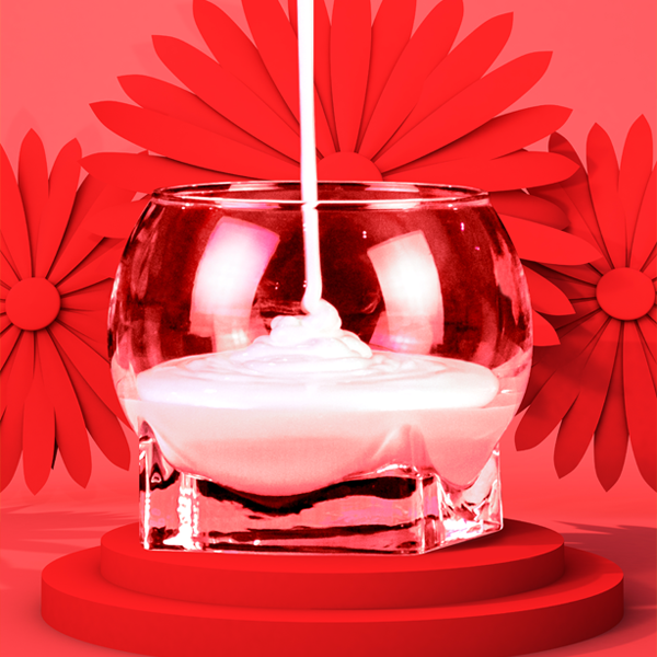 CIF Carrying International Food Corporation_Creamer & Fructose